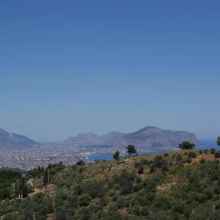 Gibilrossa Beehill *