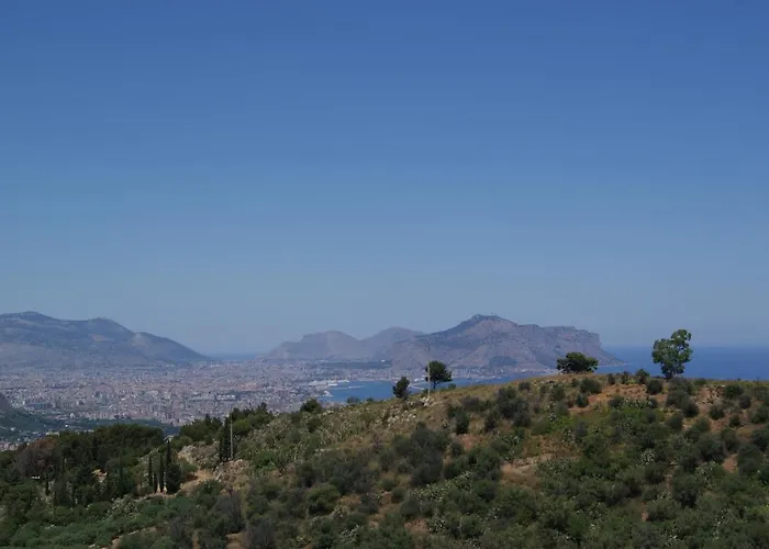 Gibilrossa Beehill *